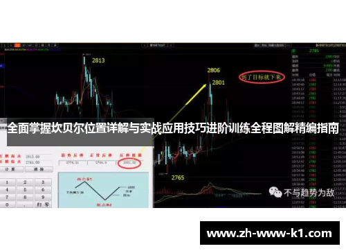 全面掌握坎贝尔位置详解与实战应用技巧进阶训练全程图解精编指南