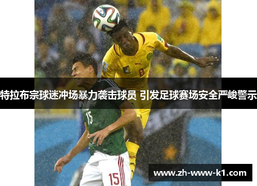 特拉布宗球迷冲场暴力袭击球员 引发足球赛场安全严峻警示
